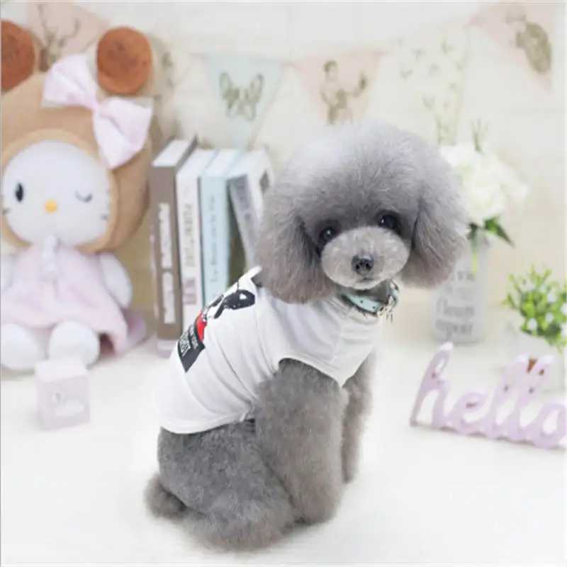 QQ20190210164254