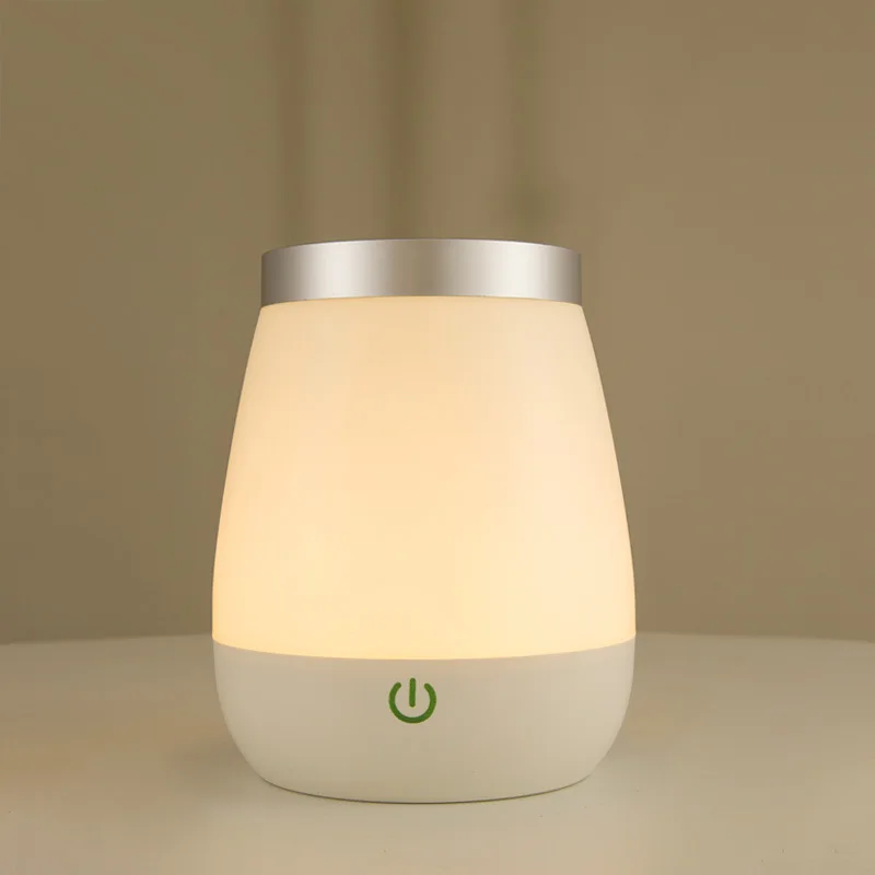 Modern new style vase led night light USB charging multifunctional decoration night lamp free