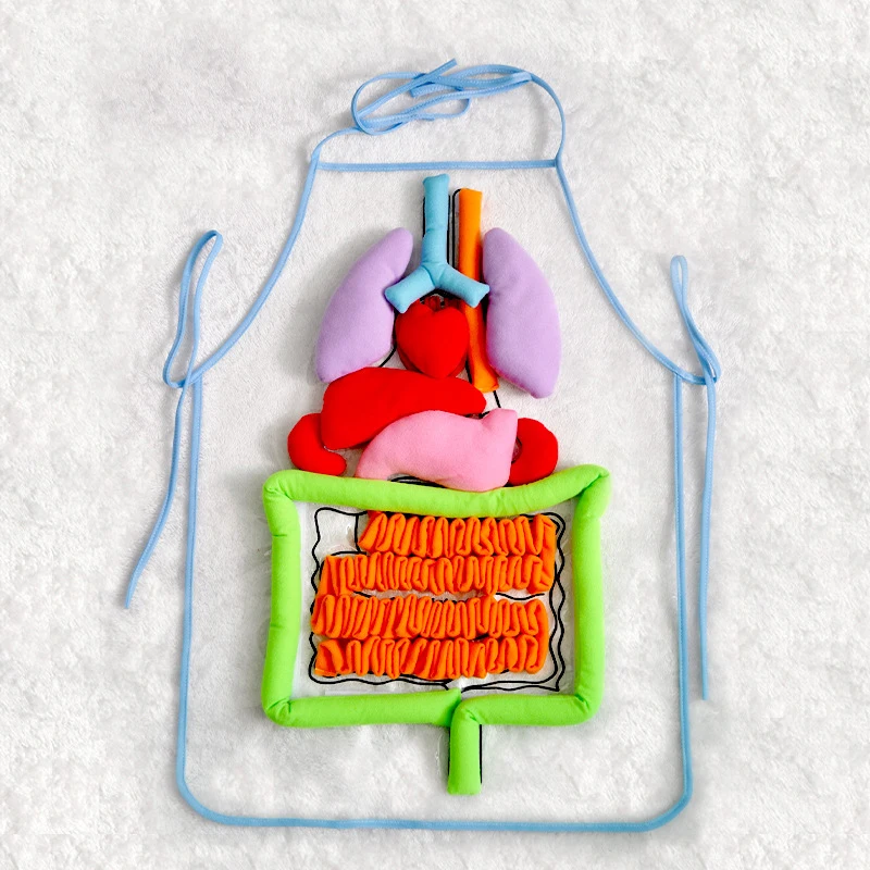

Body Organ 3D PuzzleToy With Apron Viscera Teaching Utensil Body Organs Awareness Aids Early Educational Toy For Kid 3-16 years