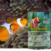 60Pcs Aquarium Nitrifying Bacteria For Fresh Water And Marine Water Fish Tank ► Photo 3/6