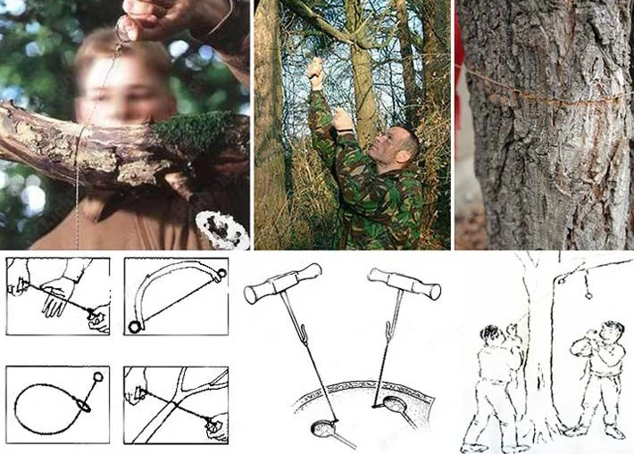 TB2KmlmoXXXXXc8XXXXXXXXXXXX_!!2623272993