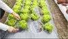 Garden Supplies