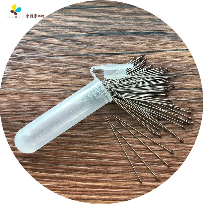 0 40x0.29 mm Insect pin mounted specimens needle waxed paper SPECIMEN