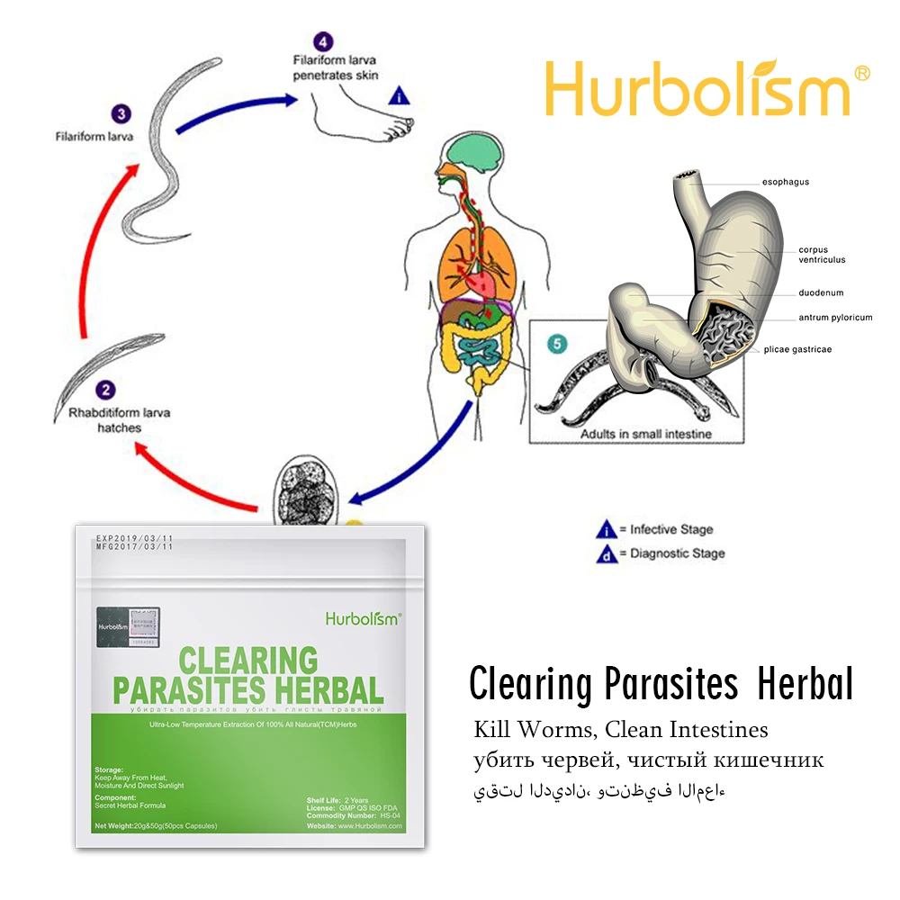 Hurbolism натуральный травяной порошок формула для уничтожения круглого червя, паразитов и защиты внутренних органов 50 г