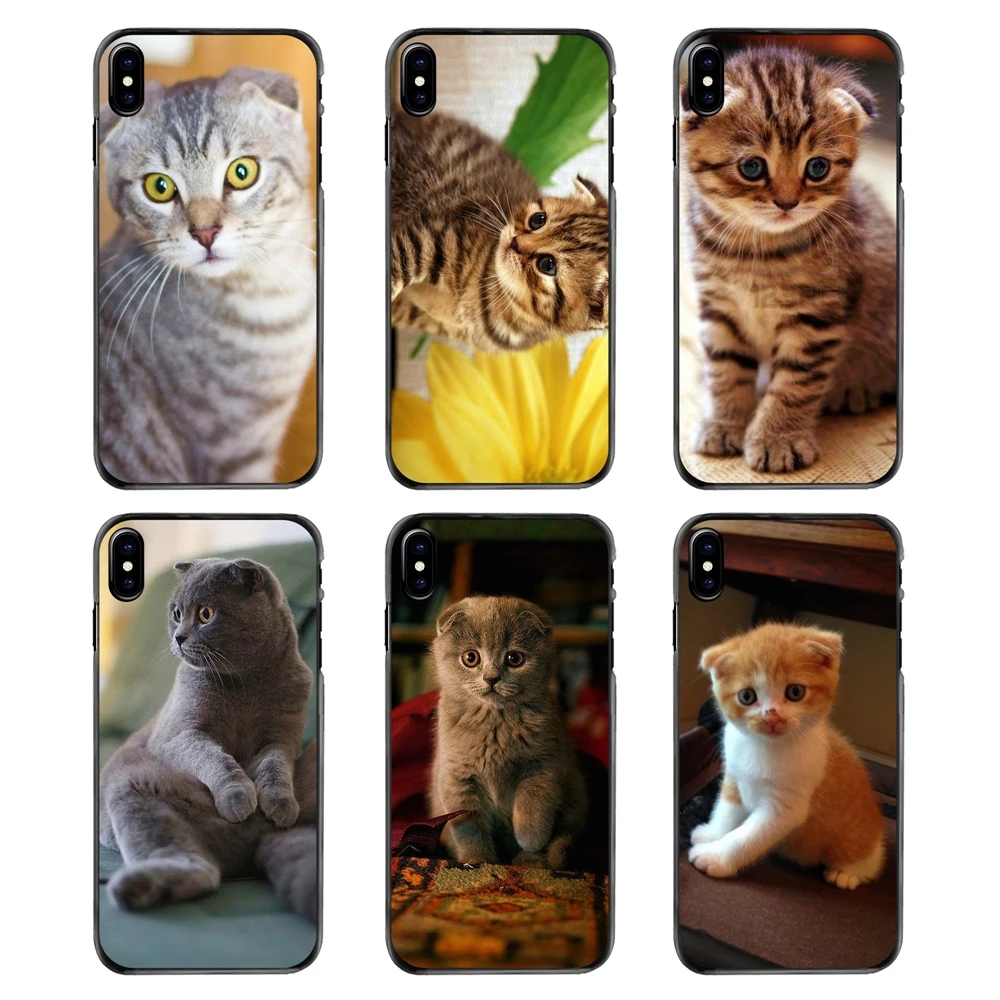 Шотландский складной Кот Felis catus Scotland для Iphone 4 4s 5 5S 5C SE 6 S 7 8 Plus X XR XS Max iPod Touch Жесткий
