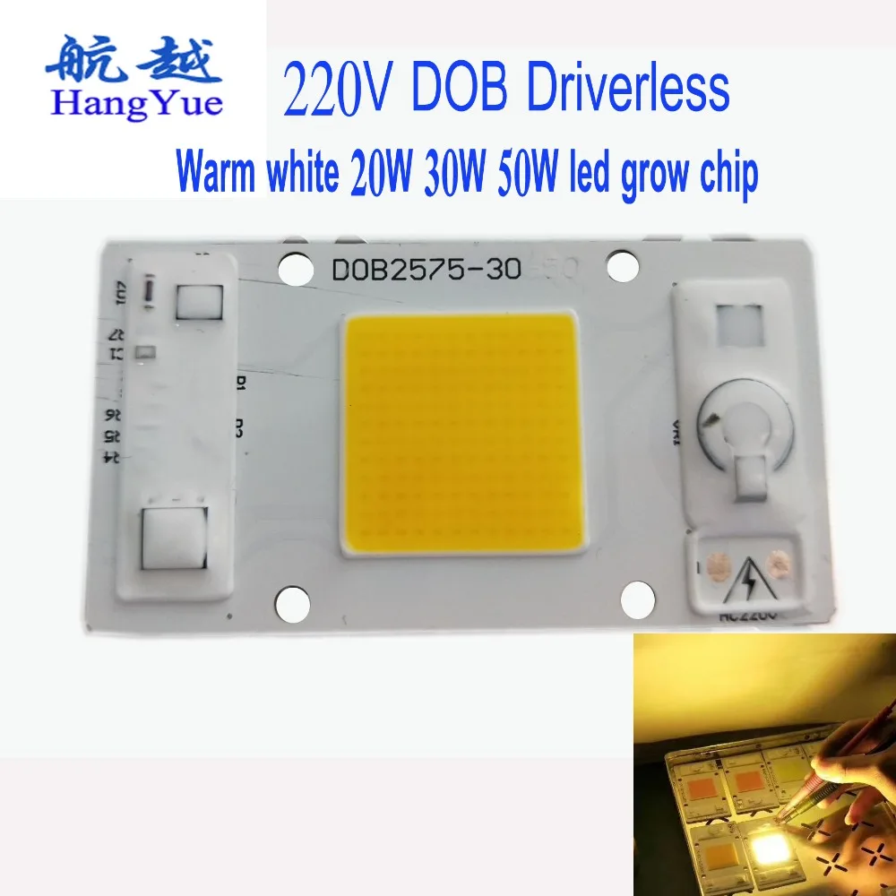 Wharm white 20W 30W 50W led grow chip
