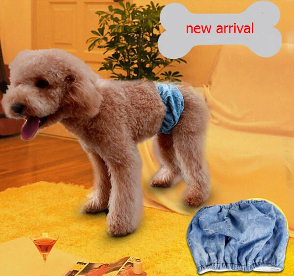 1pcs pet dog cat spring summer fashion denim Menstrual pants clothes