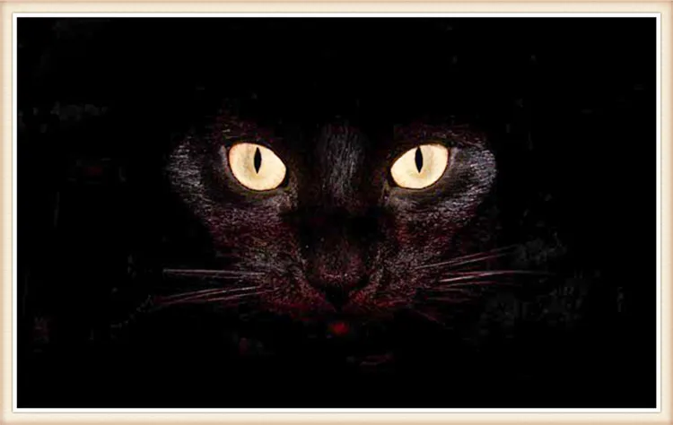 

5D Diamond Embroidery DIYcat black square Pictures Diamond Mosaic Needlework Cross Stitch Kits Home Decor Canvas