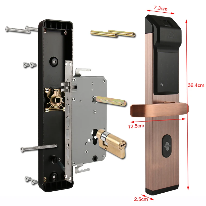 RAYKUBE биометрический цифровой замок с отпечатком пальца интеллектуальный электронный дверной замок с проверкой отпечатков пальцев и паролем и RFID R-FP1
