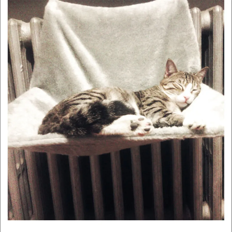 Deluxe Cat Гамак регулируемое окно подоконник кошка Лежанка закрепляемая на батарее гамак окунь сиденье Lounge Pet Kitty подвесная кровать уютный Кот гамак