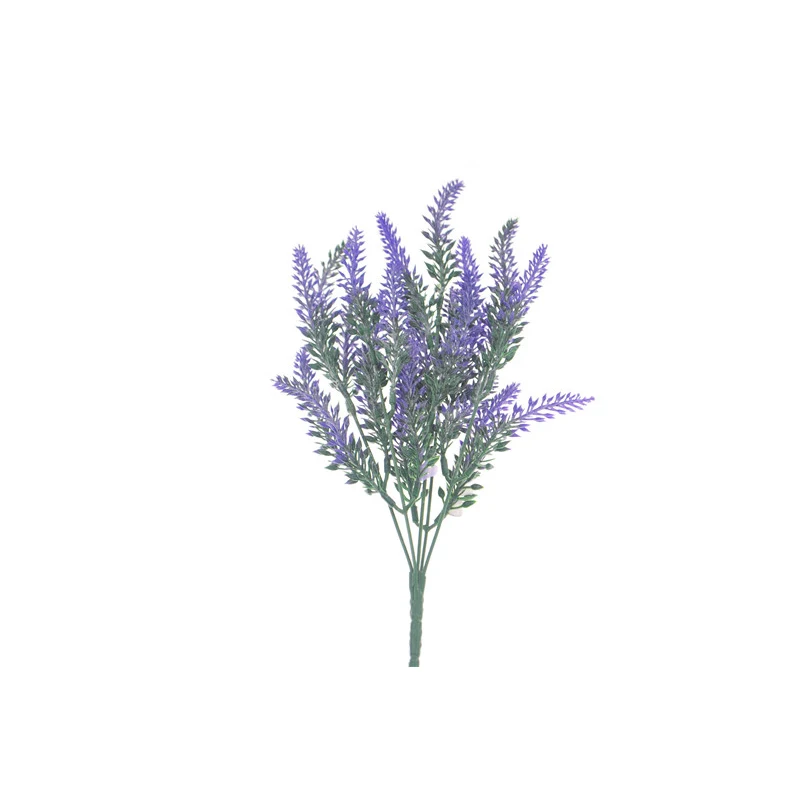  (2)