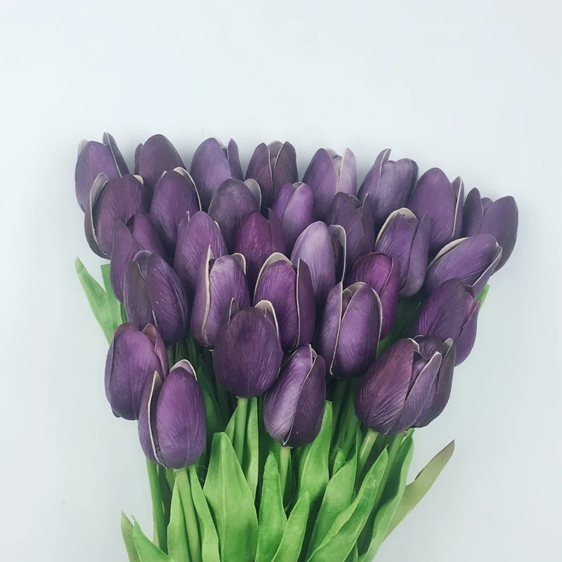 MS(74)