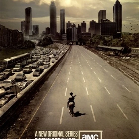 The Walking Dead (TV) Movie Poster (11 x 17)