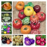 QQ20181215114314