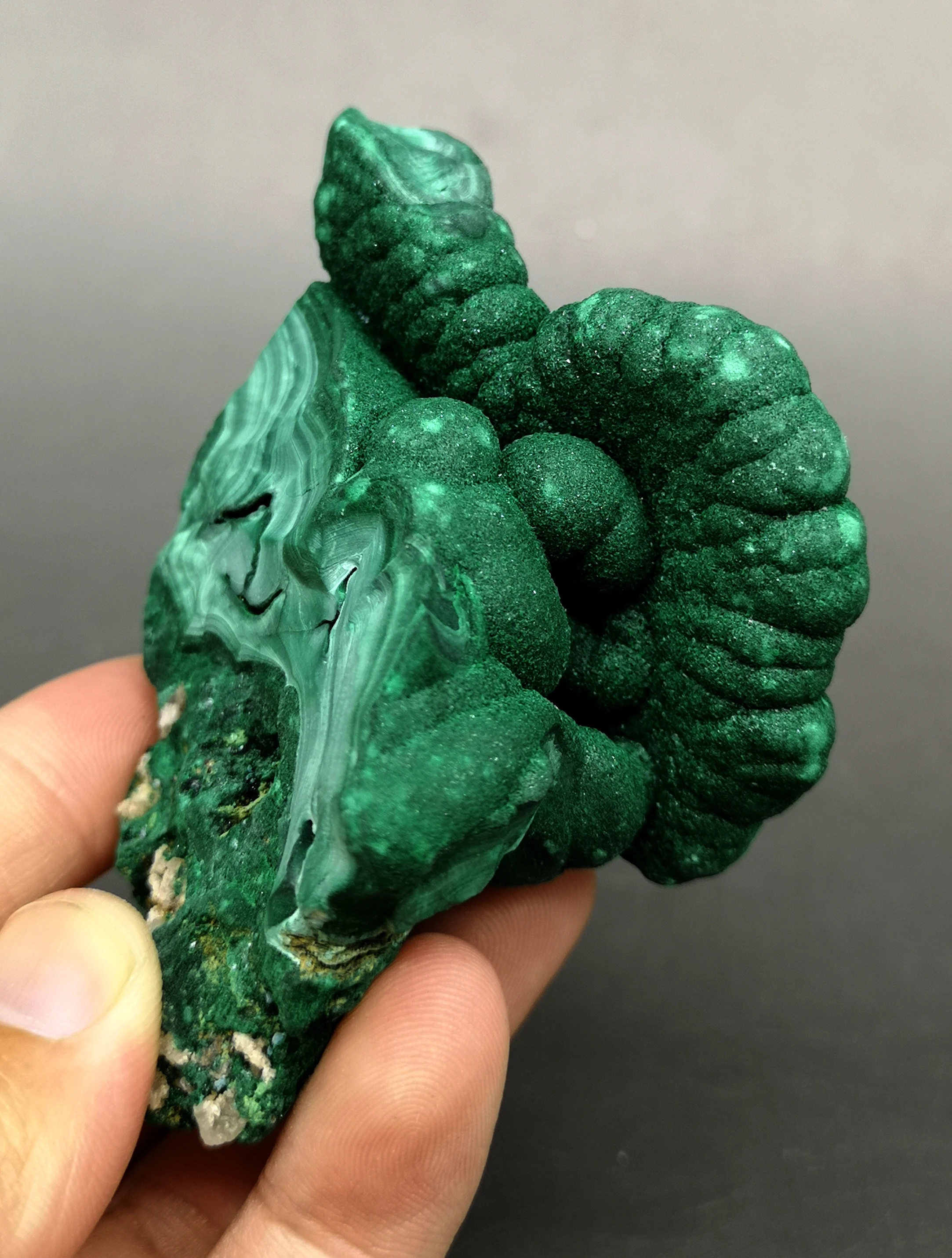 

176g Stone and crystal Natural Malachite mineral specimen Original Stone Ornamental stone teaching specimen collection
