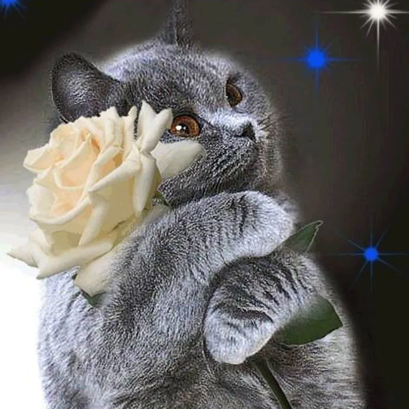 kexinzu Full 5D DIY Square Round Diamond Painting Animal Cat 3D Embroidery Cross Stitch Rhinestone Mosaic Home Decor K222 | Дом и сад