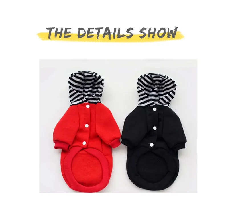 dog clothes