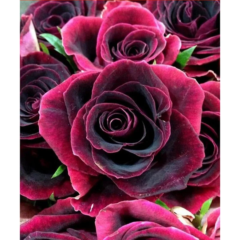 HTB1HMAwjJqUQKJjSZFIq6AOkFXaD