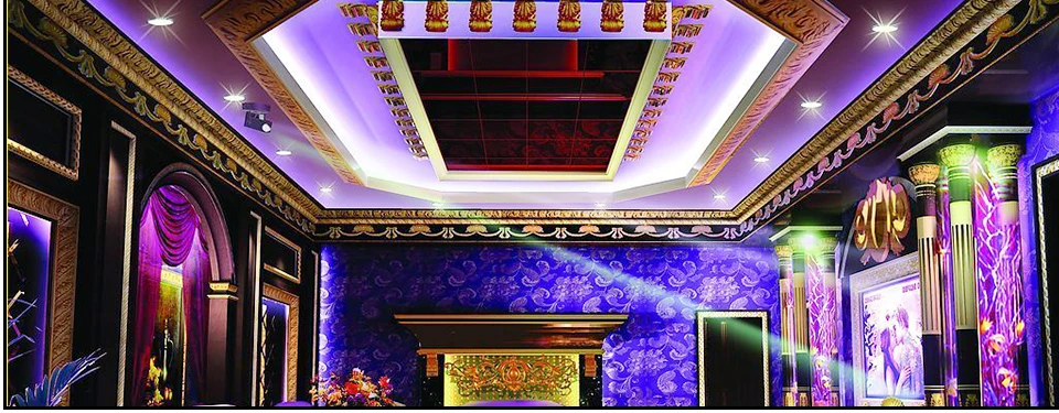 ws2812B IC LED strip light (9)