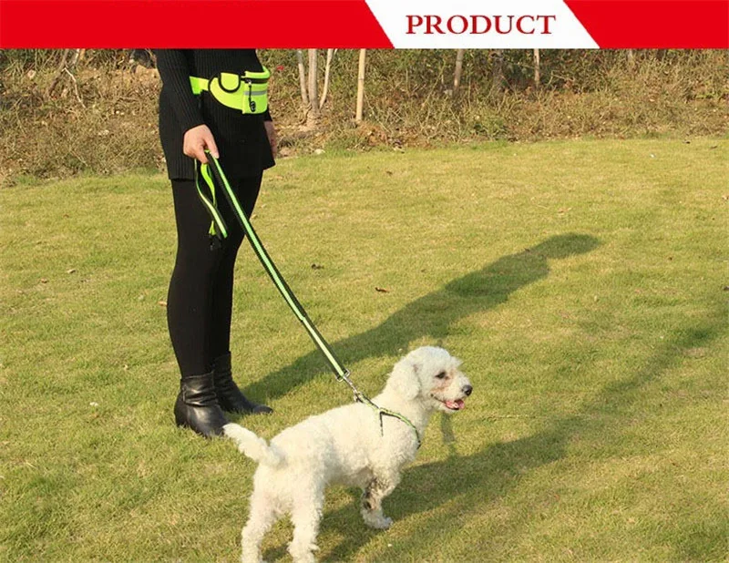 Handfree Bungee Dog Leash (3)