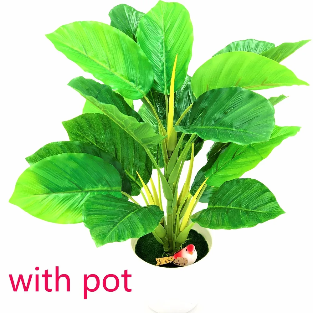 with pot