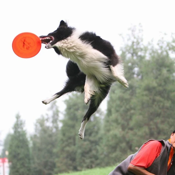 

Large size Dog Puppy Training TOY Plastic Fetch Flying Disc Frisby