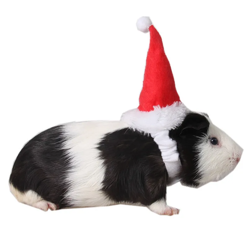 Christmas Pet Cat Hats Caps Adjustable Elastic Band Rabbit Guinea Pig Totoro Puppy Dog Head Supplies Party Decoration #F#40NV14 (24)