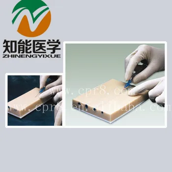 

BIX-HS15 IV Injection Training Pad(big) W066