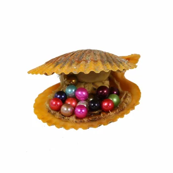 

Free Shipping Bead Red 6-7mm Round Akoya Single Pearls In Oysters With Vacuum Package For Women Jewelry Making 20pcs RR002