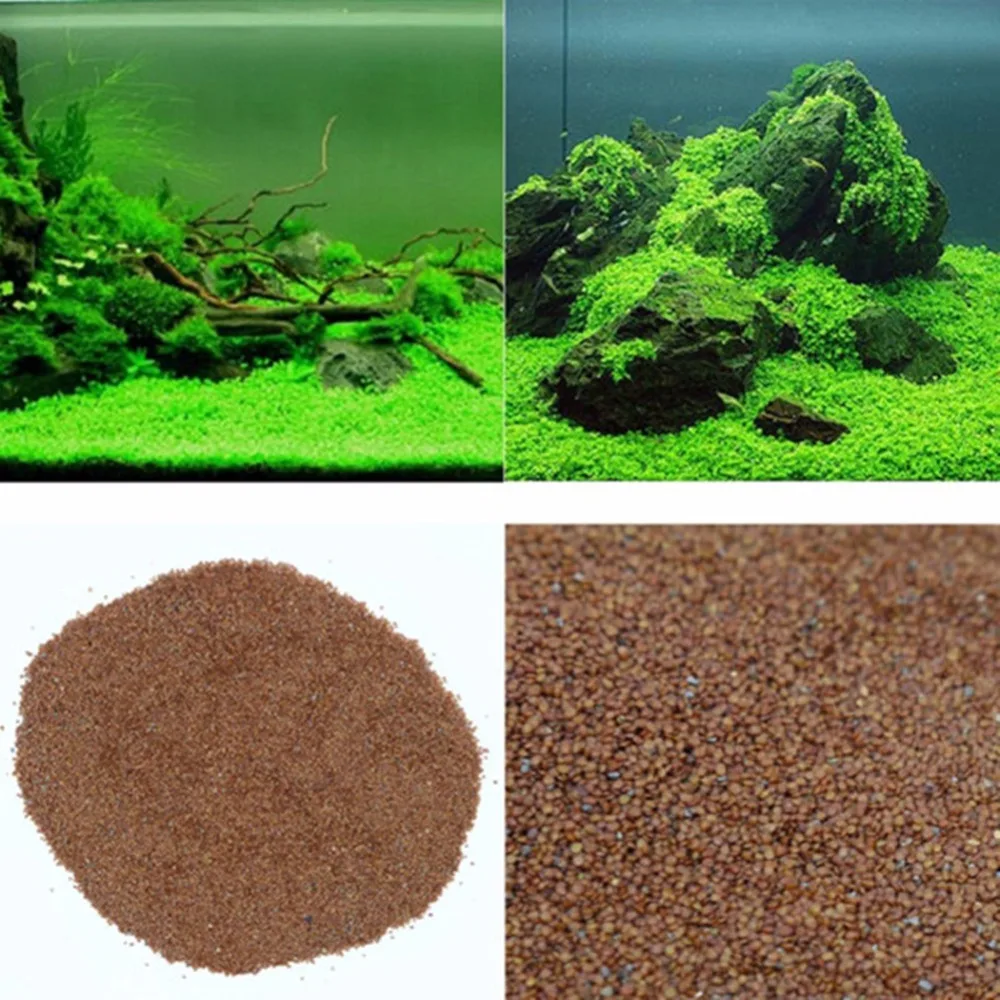 Nicrew Aquarium Plants Seeds Water Aquatic Water Grass Live Plant Fish