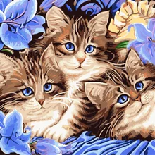 5d пользовательские алмазная живопись кот цветок вышивка крестом Рождество Санта-Клаус дар home decor diy pintura стразами ponto cruz фильмы