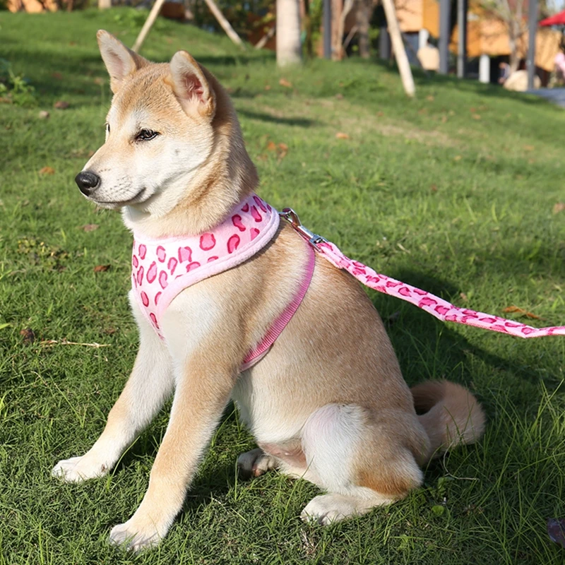 Pet-Dog-Adjustable-Collar-and-Leads-Cat-Leopard-Harness-Cute-Safety-Control-Size-S-M-for (3)