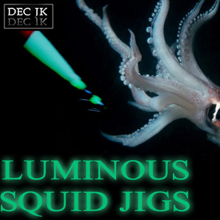 25PCS Octopus Fishing Lure Squid Jigs Luminous Artificial Bait Lot Accessories Hard Jigging Jerkbait Fake Lures Sea Fishing Bait (8)