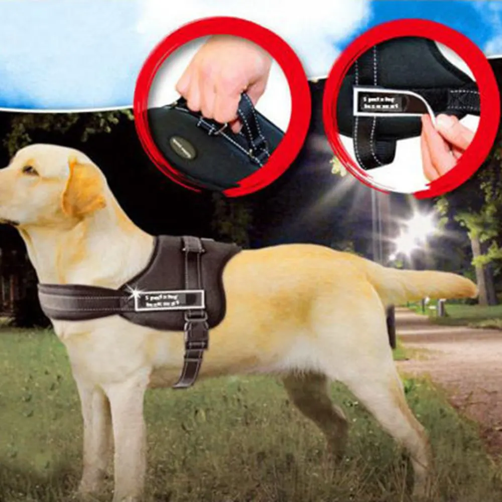 

Sports Training Dog Harness Heavy Duty Pitbull Mastif K9 Labrador Siberian Husky