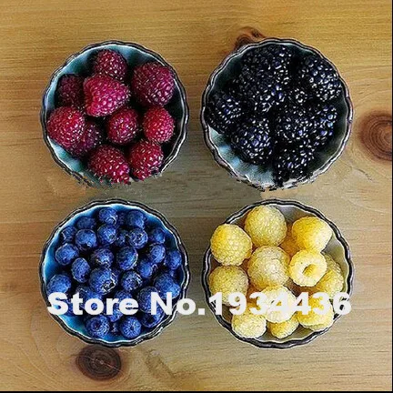 Free Shipping 4000 Pcs Raspberry Bonsai Mixed Colors Super Big Raspberry Fruit For Flower Pots Planter Home Garden Bonsai Plants Free Shipping 4000 Pcs Raspberry Bonsai Mixed Colors Super Big Raspberry Fruit For Flower Pots Planter Home Garden Bonsai Plants