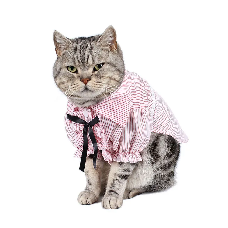 pet clothes (23)
