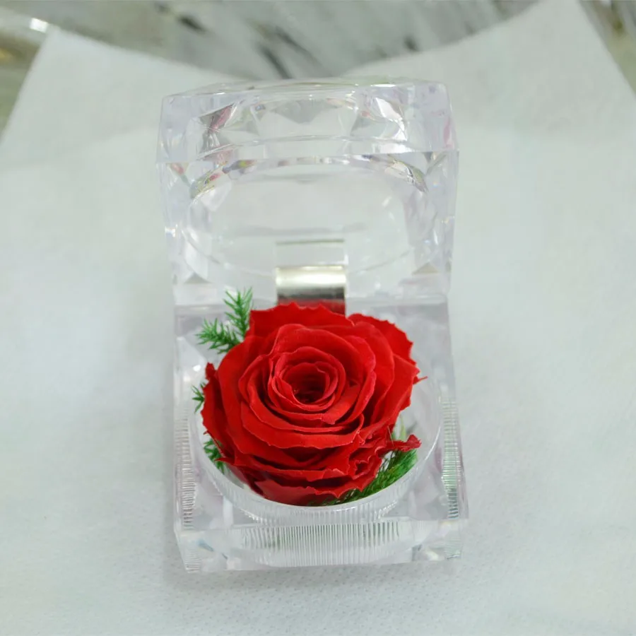 TB2WbmaXam5V1BjSspjXXcGFpXa_!!2850002267