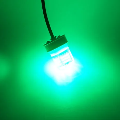 

30W 12V Green LED Fishing Lures Carp Fishing Tackle Night Fishing Lights Dock Decoration