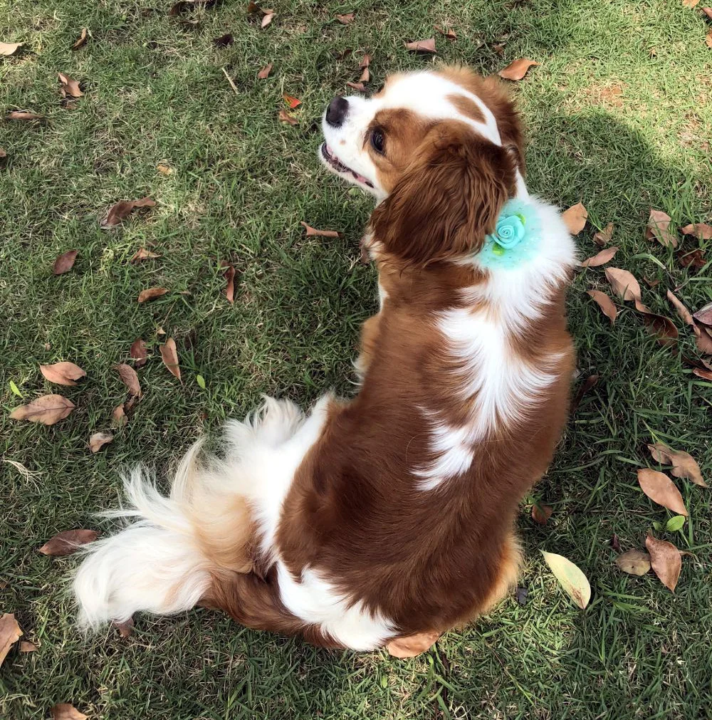QQ20190412155421.jpg1