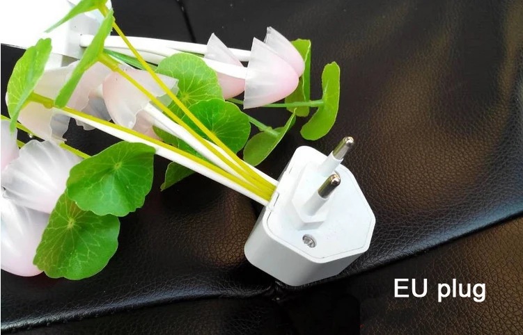 2022035125_1894273605