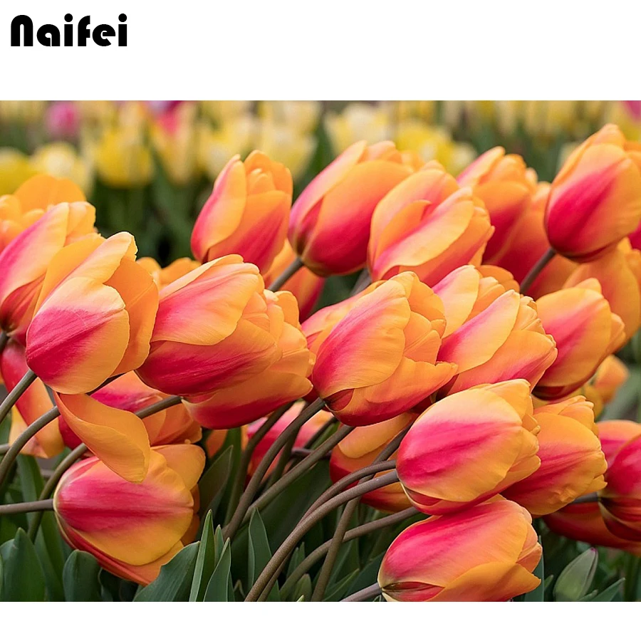 

DIY 5D Diamond Painting Cross Stitch Tulip,Yellow Flower,Full Square Diamond Mosaic Embroidery Mother's Gift Home Decoration