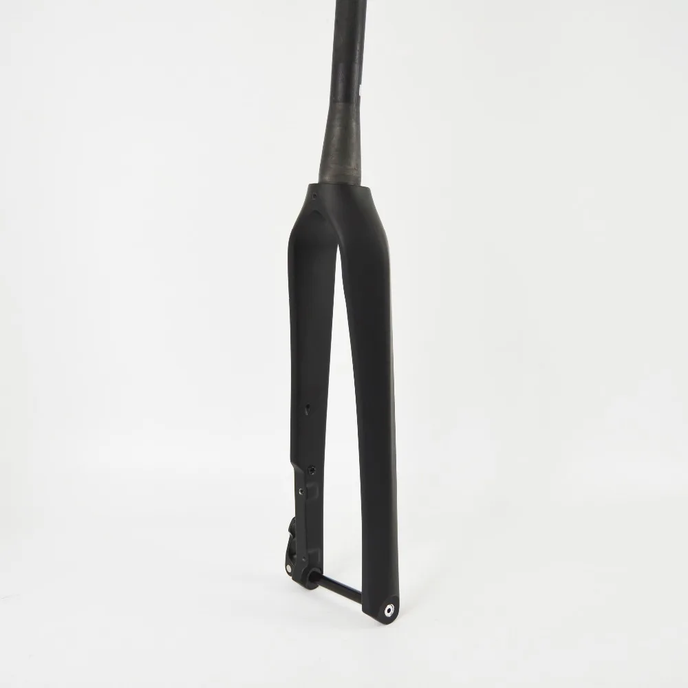 

New Design Road Bike carbon fork Flat-Mount Fork With 100*12mm Thru Axle Free Shipping FK-CS01