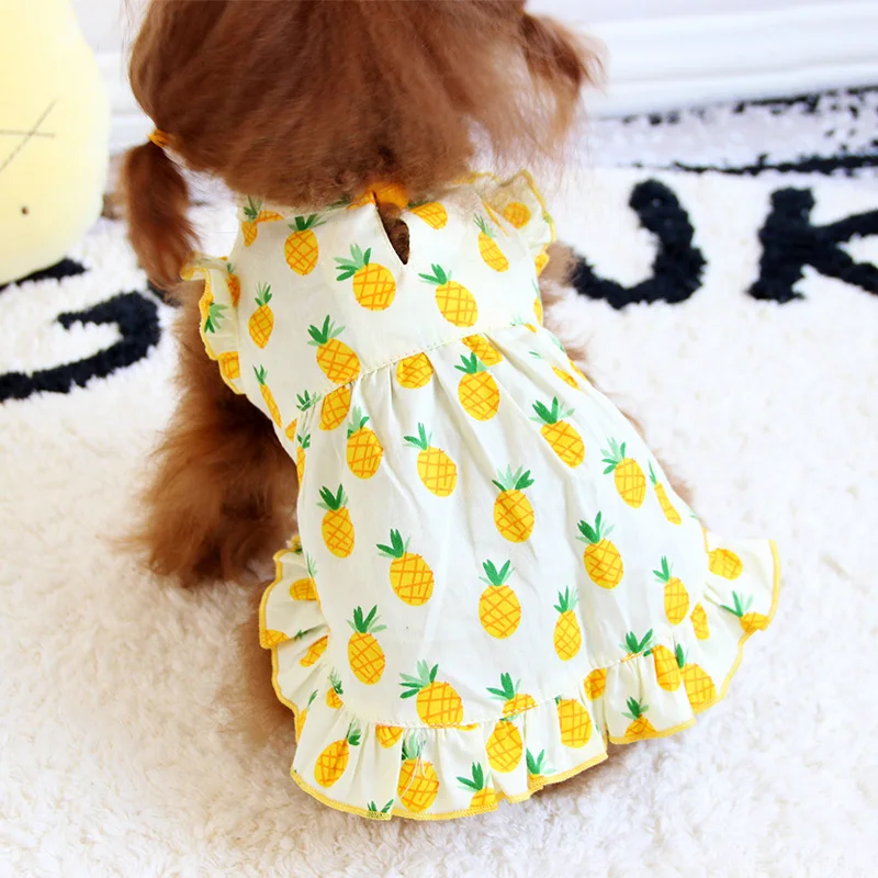 

Pineapple skirts, dog clothes, summer clothes.