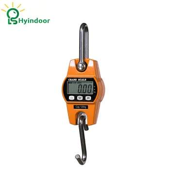 

Capacity 120kg Price Computing Hanging Weighing Scales (YDS-L120)