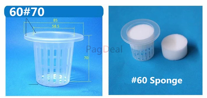 new 60# 60sponge_