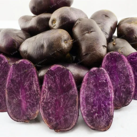 

100 Pcs Purple Potato Bonsai Purple Sweet Potato Delicious Nutrition Green Vegetable Bonsai Home Garden NO GMO The Best Gift