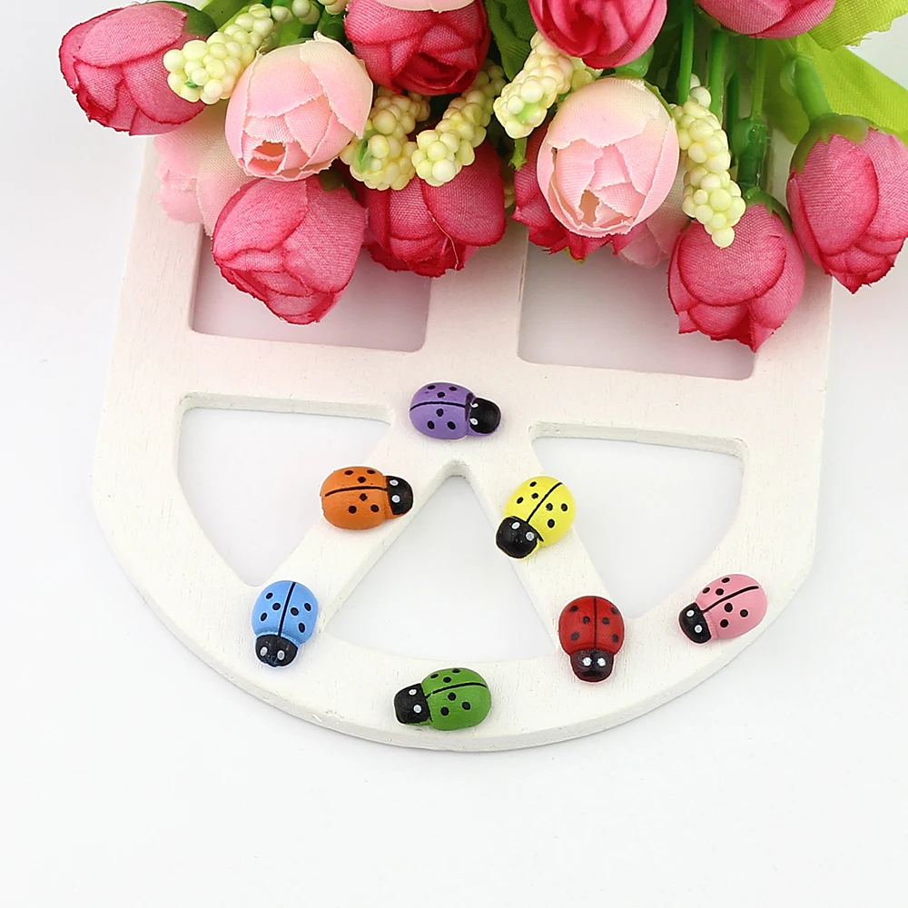 Ladybug 