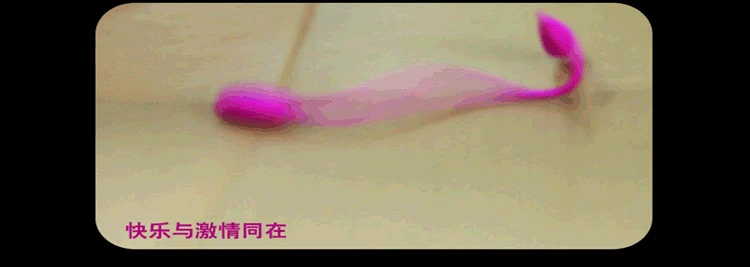 vibrator  (4)