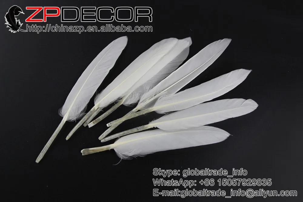 white duck feather (1)