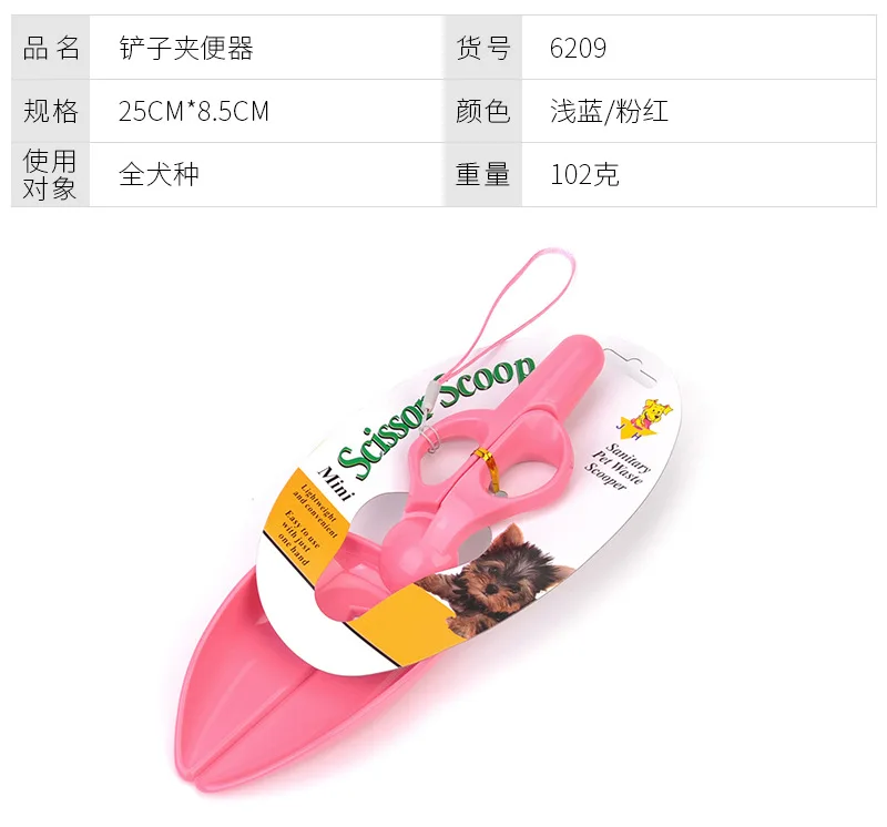 4260714852_973676538